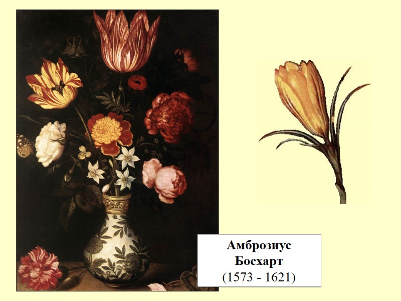 Амброзиус Босхарт (1573 - 1621)